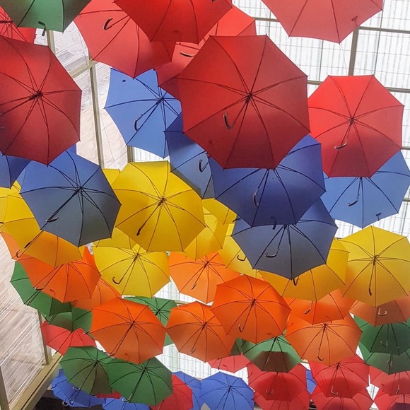 Meet your Posher, Sharron! - Picture 6 of 7